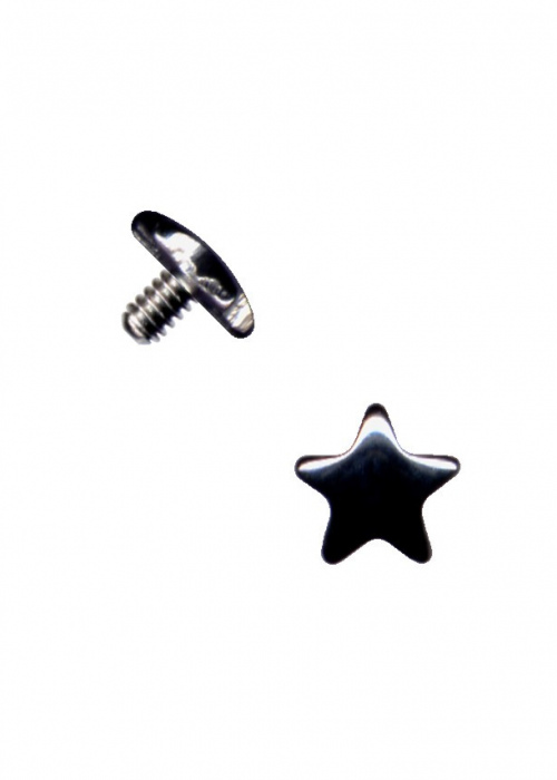 Top Dermal Anchor Surgical Steel Star Silver