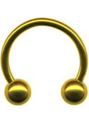 Hufeisen Ring Chirurgenstahl CBR Gold