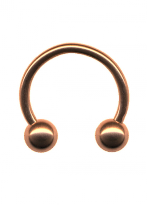 Hufeisen Ring Chirurgenstahl CBR Roségold