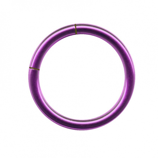 Segmentring Titan Piercing Ring Purpur Lila