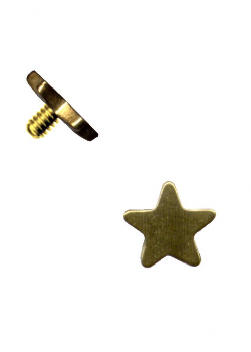 Top Dermal Anchor Surgical Steel Star Gold 