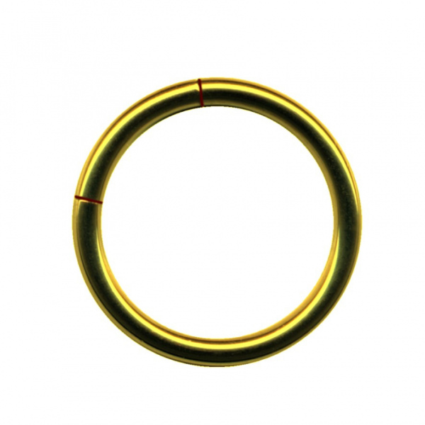 Segmentring Chirurgenstahl Piercing Ring Gelb Gold
